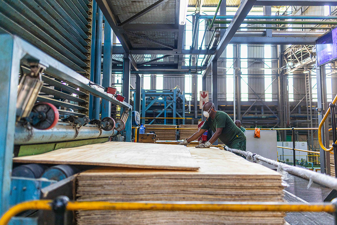 Timbre Yard Process What We Do